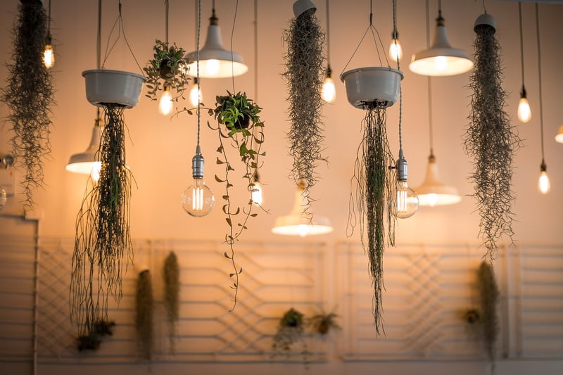 Lighting Designs